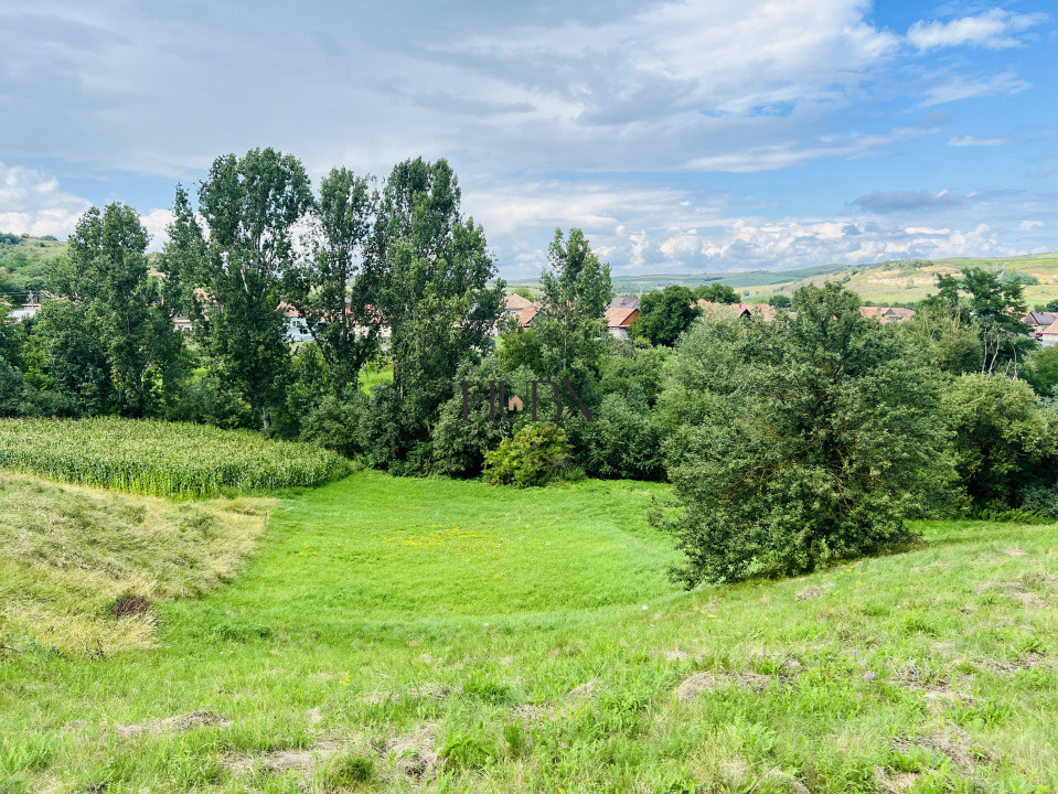 Investitie Teren intravilan 3000 mp intabulat in Corusu