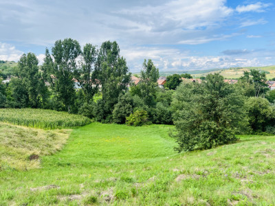 Investitie Teren intravilan 3000 mp intabulat in Corusu