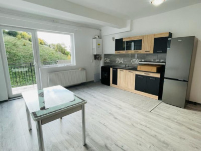 Apartament 2 camere 50 mp utili si garaj, zona Teilor