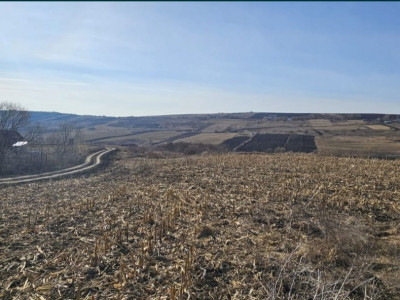 Teren extravilan, 5800 mp, Valea Fanatelor