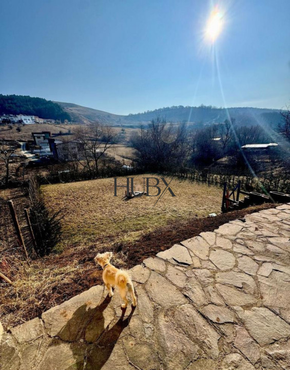 Casa 7 camere 200 mp utili si 644 teren pe strada Tautiului