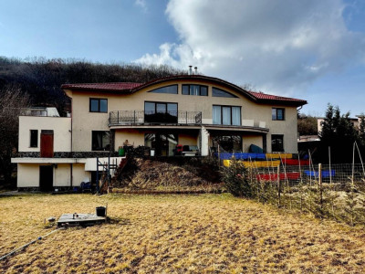 Casa 7 camere 200 mp utili si 644 teren pe strada Tautiului